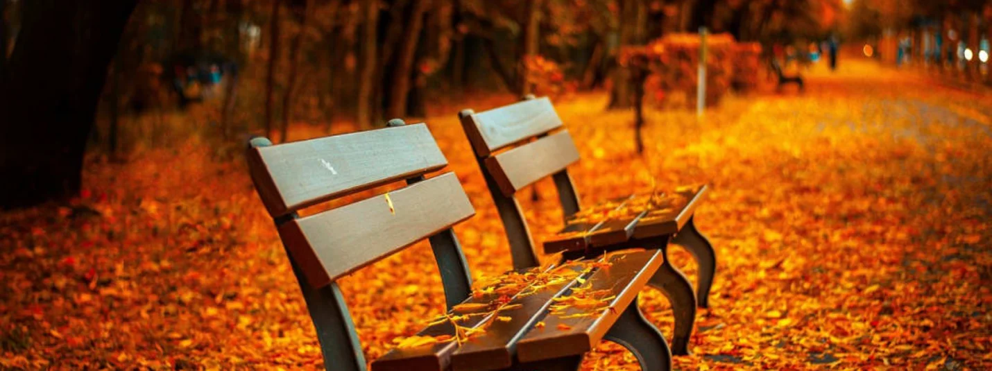 Kurzgenuss in Velden 2026 Zwei Parkbänke unter herbstlich gefärbten Bäumen, bedeckt mit fallenden Blättern