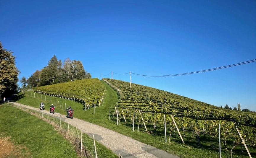 Motorfietsers rijden op een pad door groene wijngaarden onder een heldere blauwe lucht