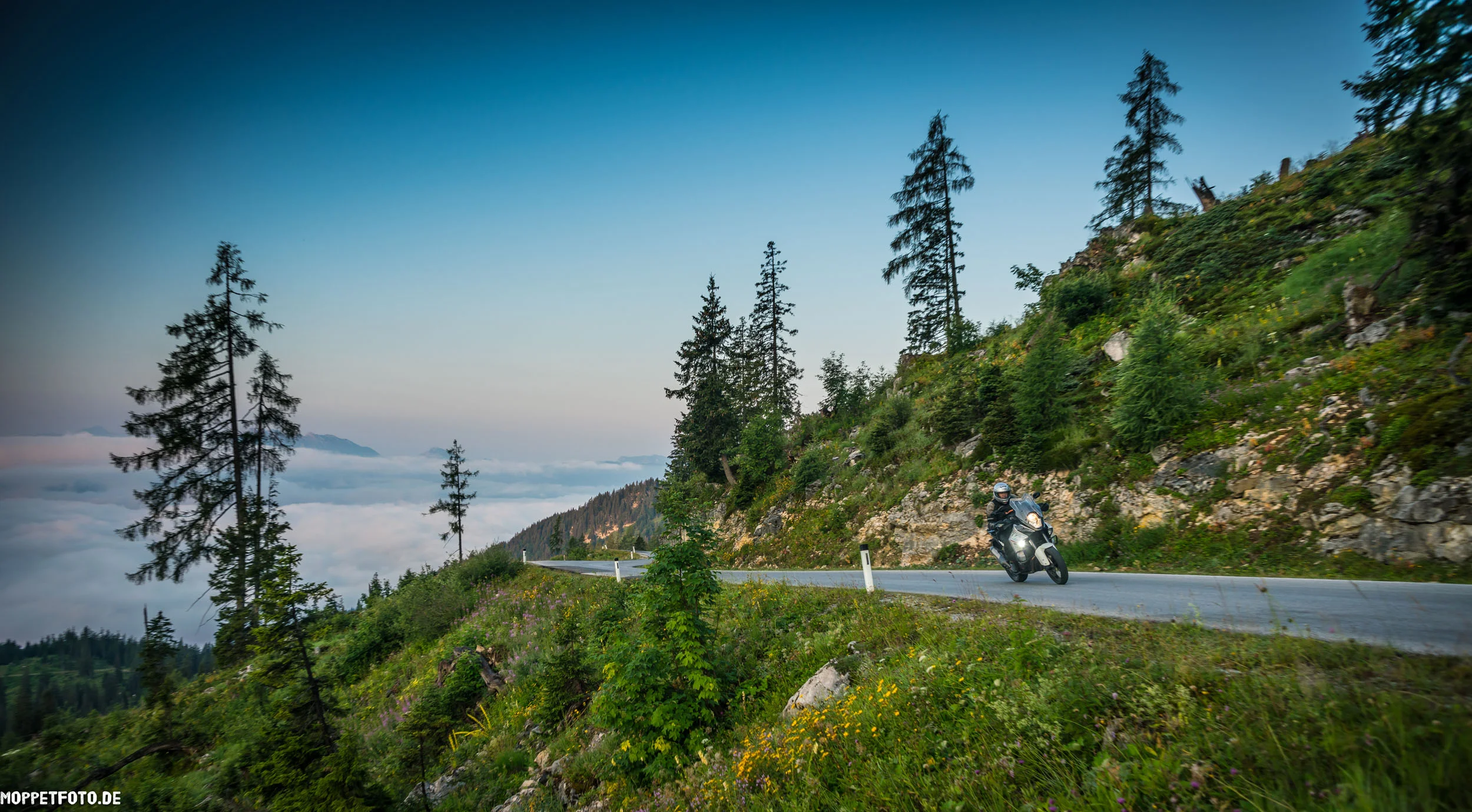 Motorradfahrer auf Bergstraße mit Blick auf Nebel und Bäume