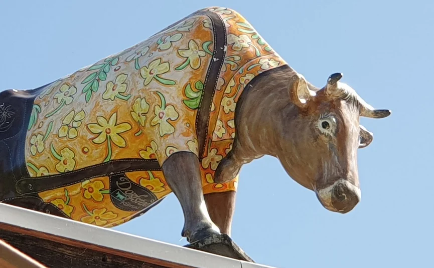 Kleurrijk koeienbeeld met bloemenpatroon op een dak