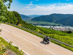 Motorradfahrer auf kurviger Landstraße mit Weinbergen und Fluss im Hintergrund