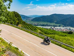 Waldviertel © Alexander Seger Motorrijder op kronkelende landweg met wijngaarden en rivier op de achtergrond