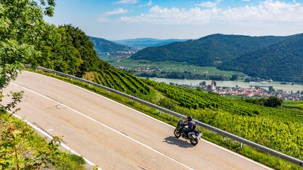 Waldviertel © Alexander Seger Motorradfahrer auf kurviger Landstraße mit Weinbergen und Fluss im Hintergrund