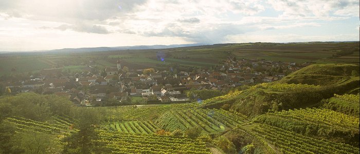 Blick auf Weinberge und ein Dorf im sonnigen Tal unter bewölktem Himmel