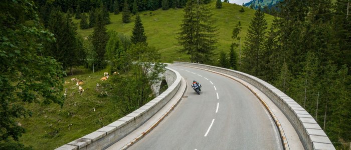 Region Rosenheim - Oberbayern © Moppetfoto.de Motorradfahrer auf kurviger Bergstraße umgeben von Bäumen und Kühen