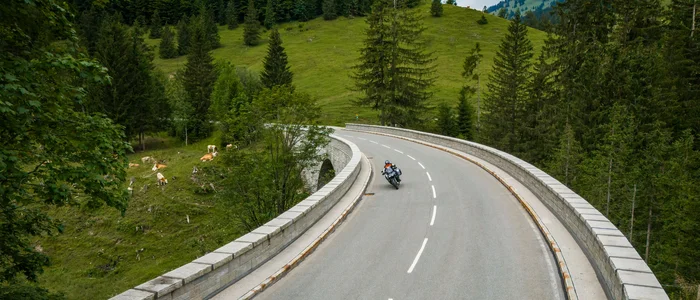Motorradfahrer auf kurviger Bergstraße umgeben von Bäumen und Kühen