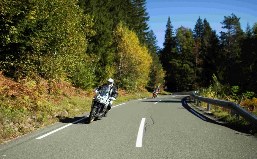 Motorrijders op een kronkelende weg omgeven door groene bomen