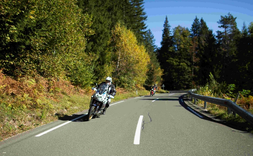 Kozjansko Curves & Posavje Roads Tour Motorcyclists riding on a winding road surrounded by green trees