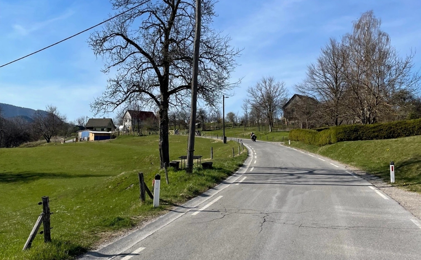 Landweg met bomen en huizen onder een blauwe lucht