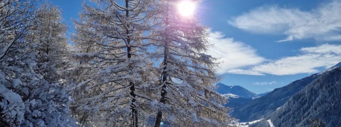 Winterstart im Alpetta Winterlandschap met besneeuwde bomen, hutten en zonnige lucht