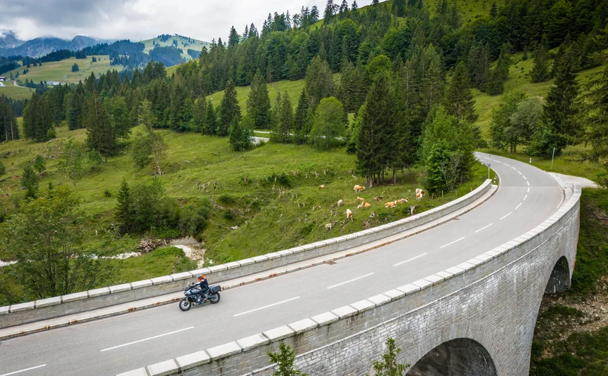 Motorcyclist on a bridge in mountainous landscape with cows and pine trees