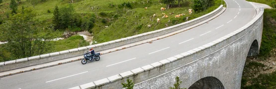 Motorbike holiday in Bavaria © Moppetfoto.de Motorcyclist on a bridge in mountainous landscape with cows and pine trees