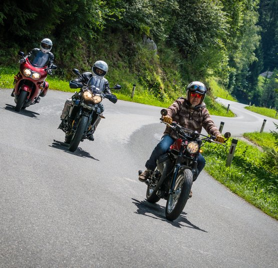 Drei Motorräder fahren auf einer kurvigen Bergstraße durch Wald