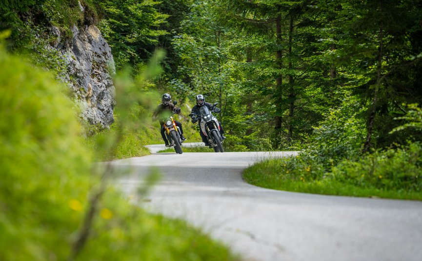 Zwei Motorradfahrer fahren auf kurviger Straße durch grünen Wald