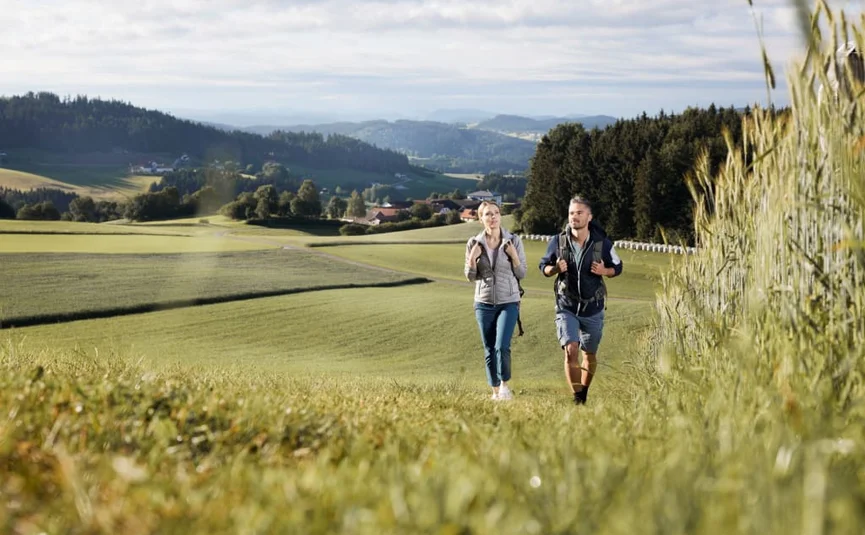Tanner Moor Erlebnis im Natur- & Europaschutzgebiet Stel wandelt op een pad met groene velden en heuvels op de achtergrond