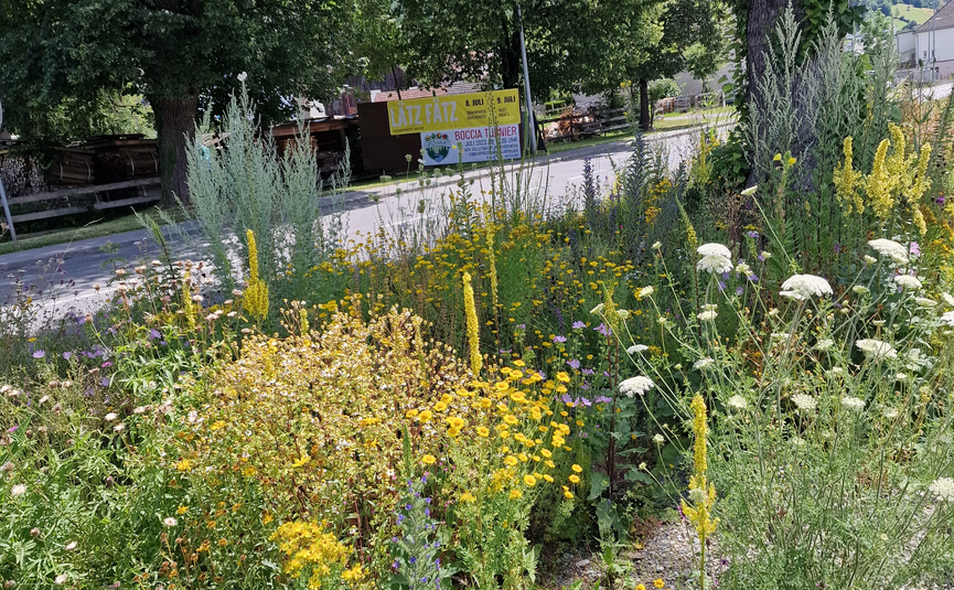 Bunte Wildblumen und Bäume neben einer Straße an einem sonnigen Tag