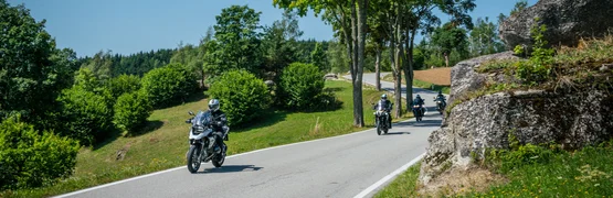Motorradurlaub im Mühlviertel © Moppetfoto.de Motorradfahrer auf einer ländlichen Straße mit Bäumen und Felsen