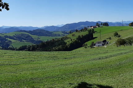 Grüne Hügel mit Straße und Bergen im Hintergrund an einem sonnigen Tag