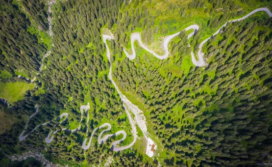 Serpentinenstraße durch dichten Wald aus der Vogelperspektive