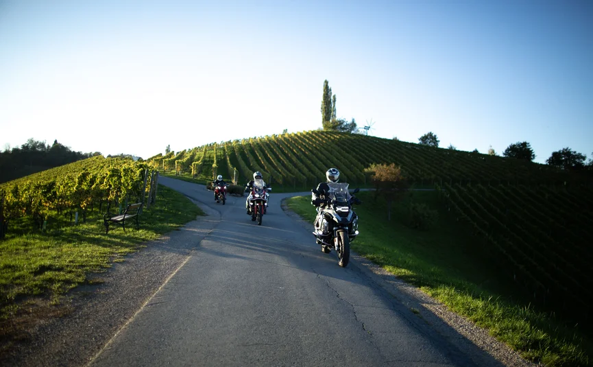 Three motorcyclists riding on country road through sunny vineyards