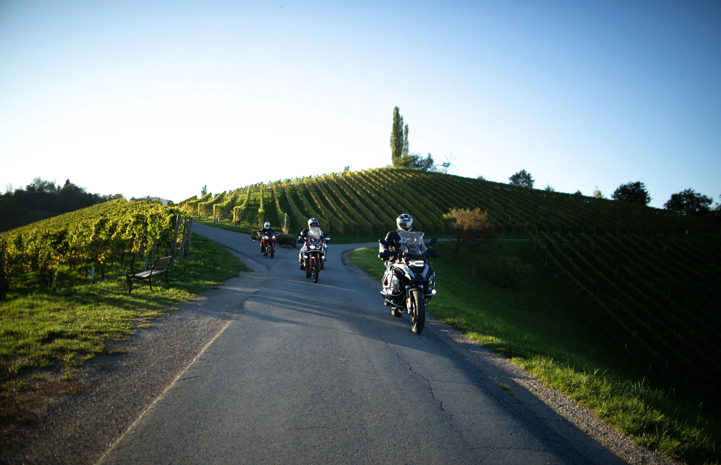Slowenien © Hotel Grof Drei Motorradfahrer auf Landstraße durch sonnige Weinberge