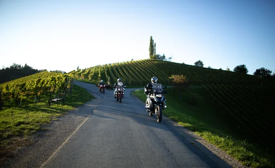 Motorradurlaub im Savinja Tal © Hotel Grof Drei Motorradfahrer auf Landstraße durch sonnige Weinberge