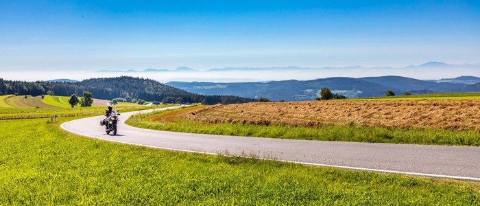 Motorradfahrer auf kurviger Landstraße bei sonnigem Wetter