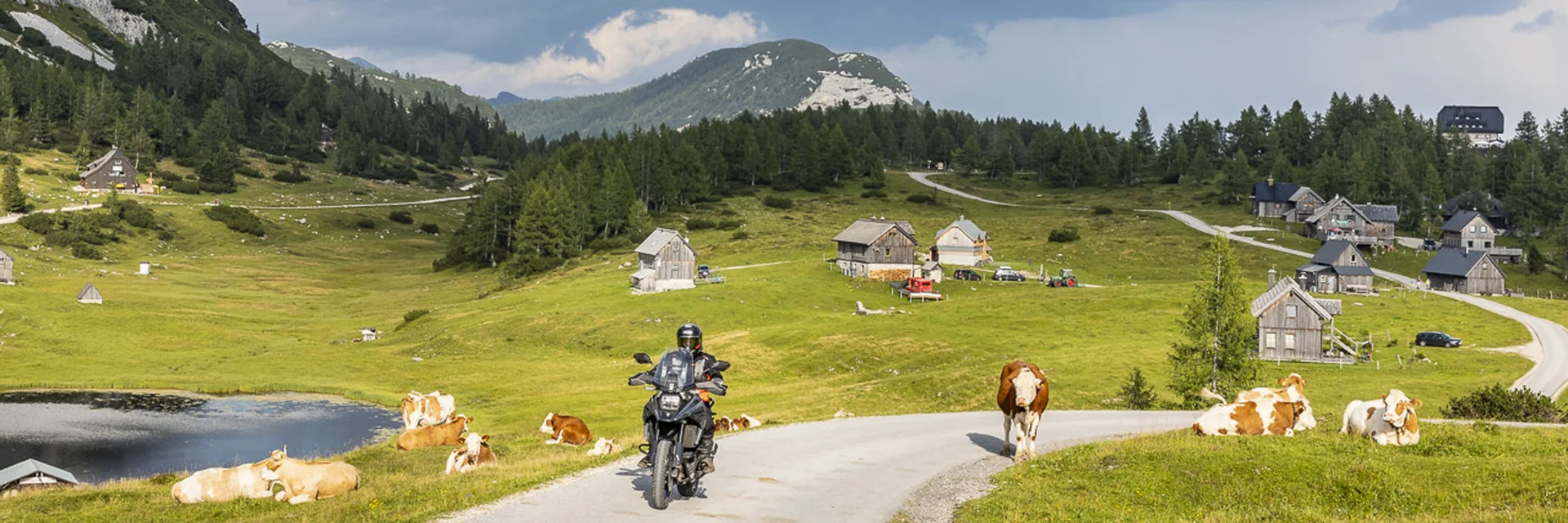 Motorradfahrer auf Landstraße mit Kühen und Bergen unter bewölktem Himmel