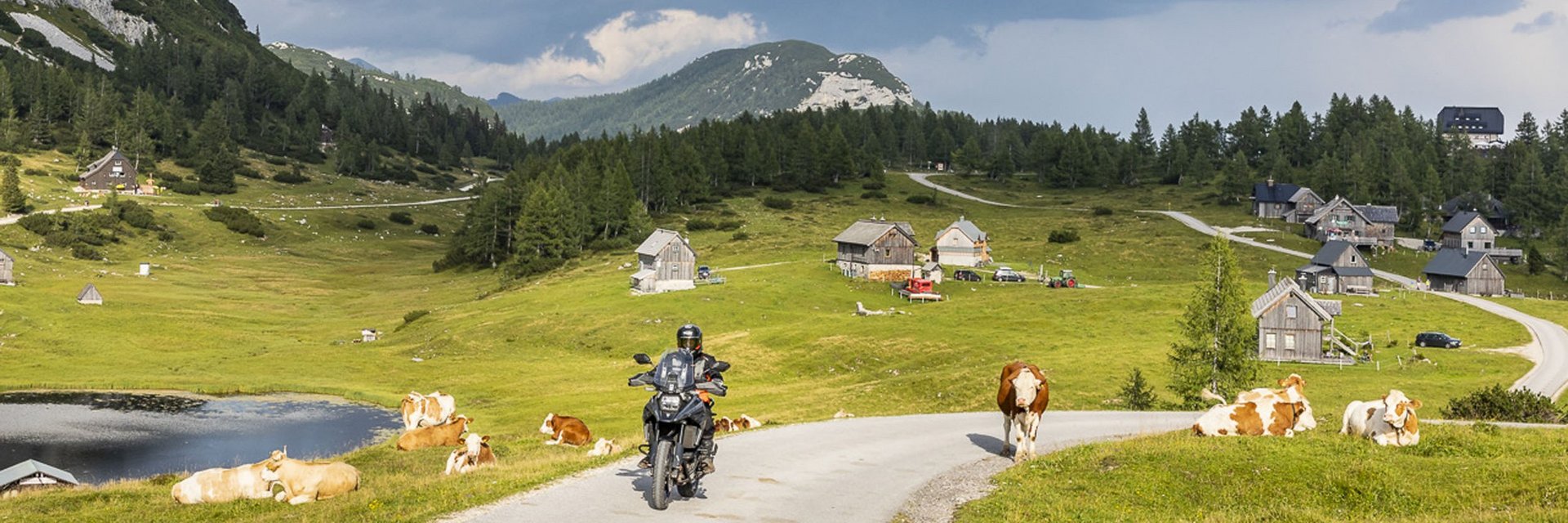 Obersteiermark – Ausseerland – Salzkammergut © Alexander Seger Motorradfahrer auf Landstraße mit Kühen und Bergen unter bewölktem Himmel