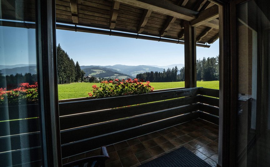 Balkon mit Blick auf grüne Wiese, rote Blumen und Berge im Hintergrund