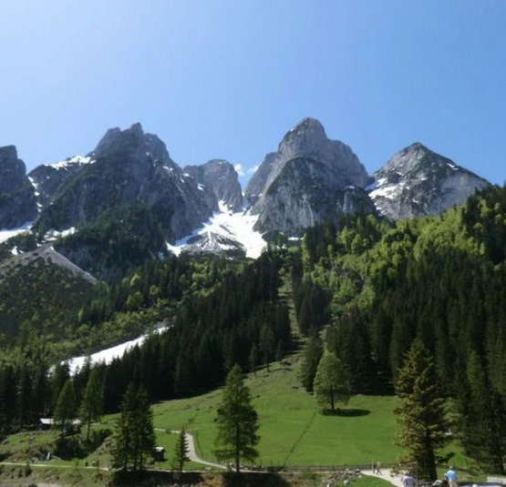 Berglandschaft mit schneebedeckten Gipfeln und grünem Wald unter klarem blauem Himmel