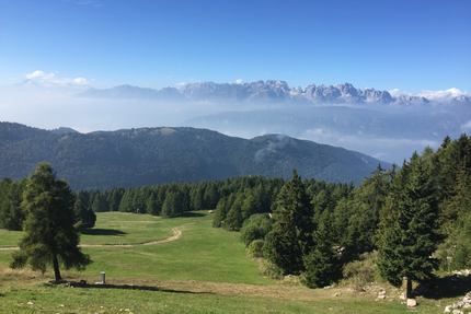 Grüne Wiesen und Nadelbäume mit nebligen Bergen im Hintergrund unter blauem Himmel