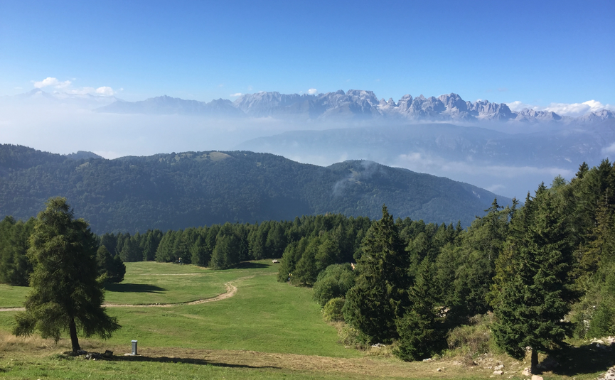 Grüne Wiesen und Nadelbäume mit nebligen Bergen im Hintergrund unter blauem Himmel
