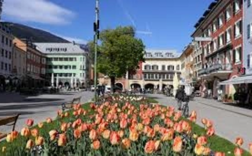 Stadtplatz mit Blumenbeet und umliegenden Gebäuden bei Sonnenschein