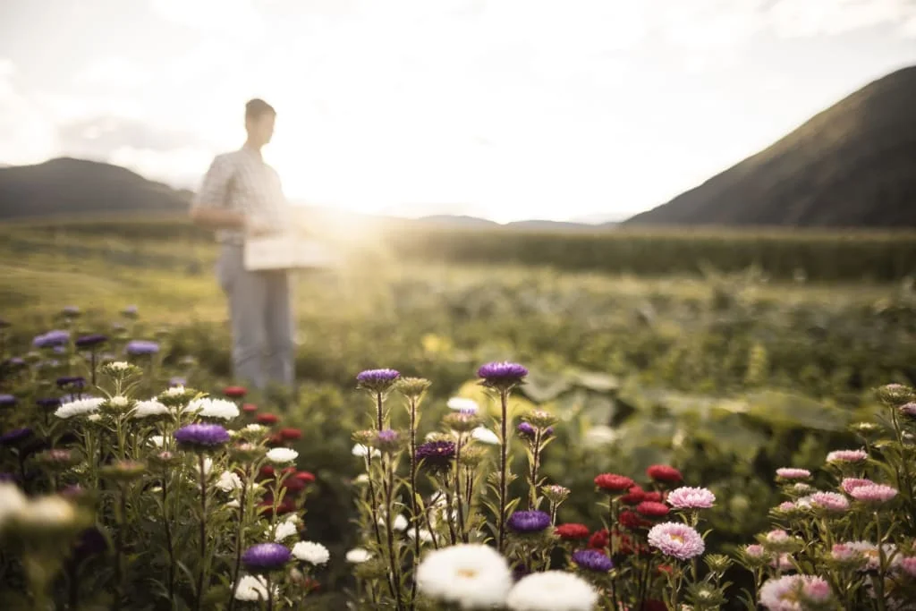 Colorful flowers in focus with a blurred person and landscape behind