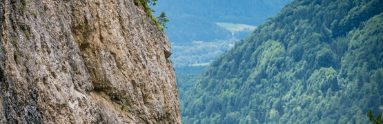 Zwei Motorräder fahren auf kurviger Bergstraße mit Felsen und Wald