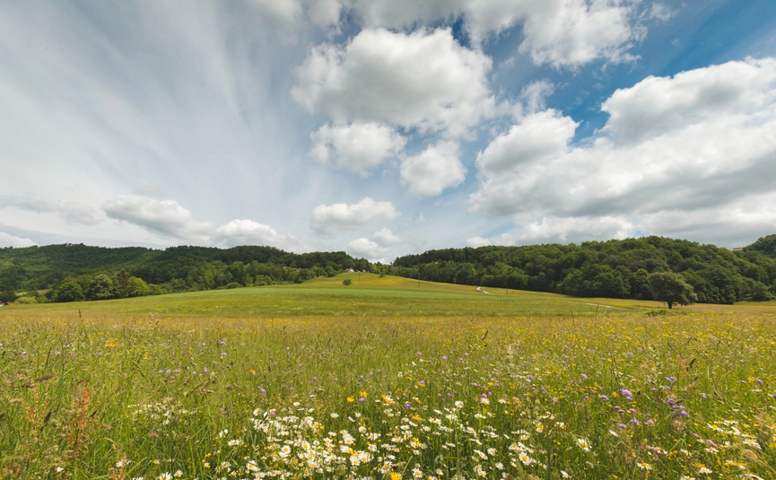 Kozjansko Curves & Posavje Roads Tour Flower meadow with hills and partly cloudy sky in the background