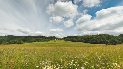 Bloemenveld met heuvels en partly bewolkte lucht op de achtergrond