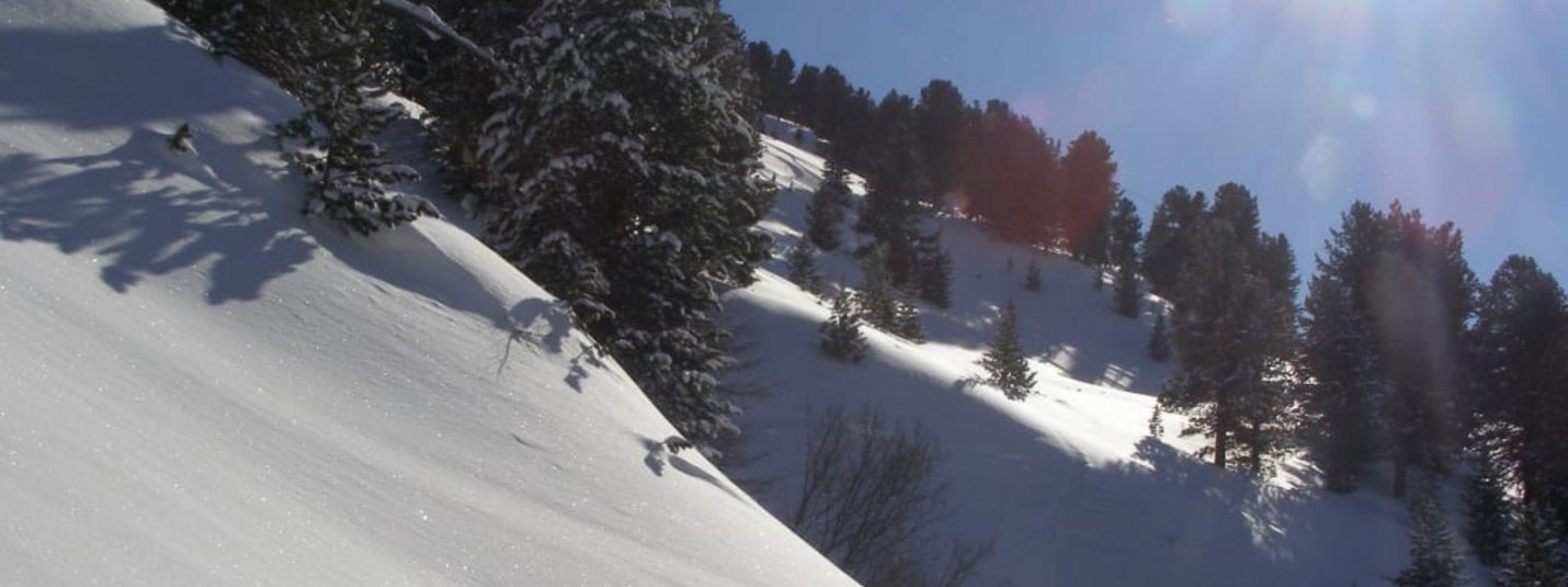 Pulverschnee-Pauschale Schneebedeckter Berghang mit Nadelbäumen bei Sonnenlicht
