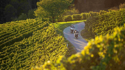 Twee motorrijders op een kronkelende weg door groene wijngaarden