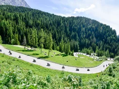 Motorradfahrer fahren eine kurvige Bergstraße durch grüne Wälder