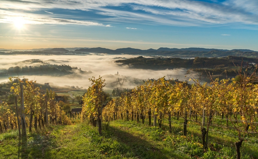 Kozjansko Curves & Posavje Roads Tour Vineyards in morning fog with mountains and sunrise