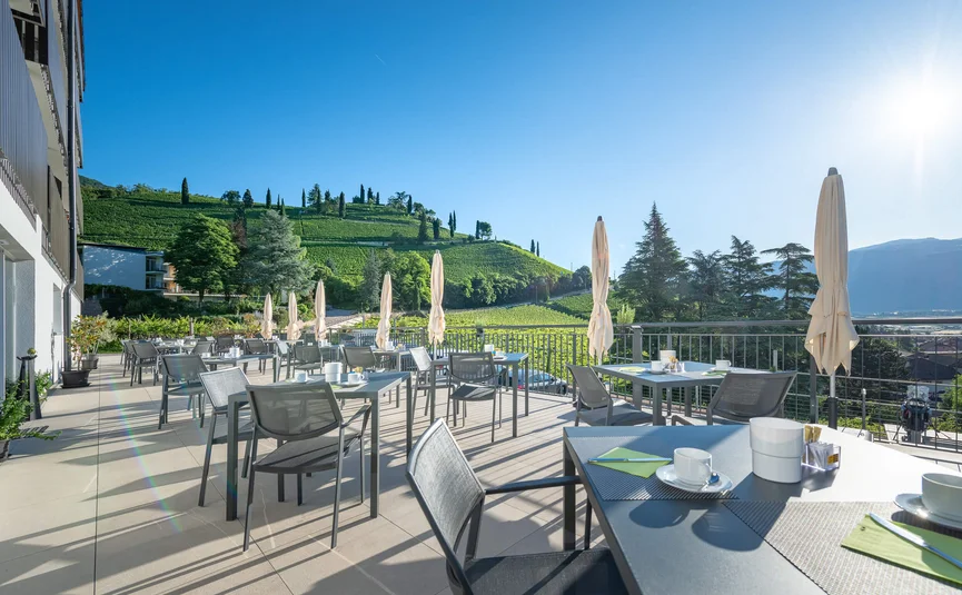 Terrace with tables and chairs on sunny day overlooking vineyards