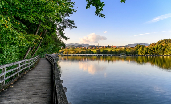 Holzsteg entlang ruhigen Sees mit Bäumen und weiter Landschaft im Hintergrund