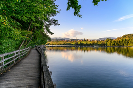 Erfgoedrit Karinthië Houten vlonderpad langs rustige meer met bomen en landschap in de verte