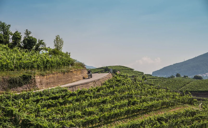Motorradurlaub im Val di Fiemme © A. Monticelli Motorradfahrer auf Bergstraße mit Weinbergen und Hügeln im Hintergrund