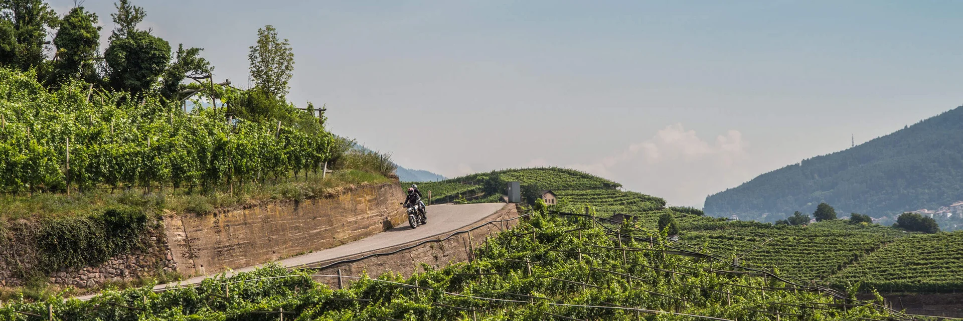 Hotel La Stüa **** © A. Monticelli Motorradfahrer auf Bergstraße mit Weinbergen und Hügeln im Hintergrund
