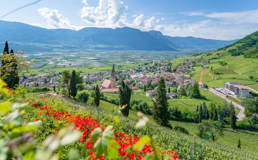 Panoramic view of a village and vineyards with mountains in the background