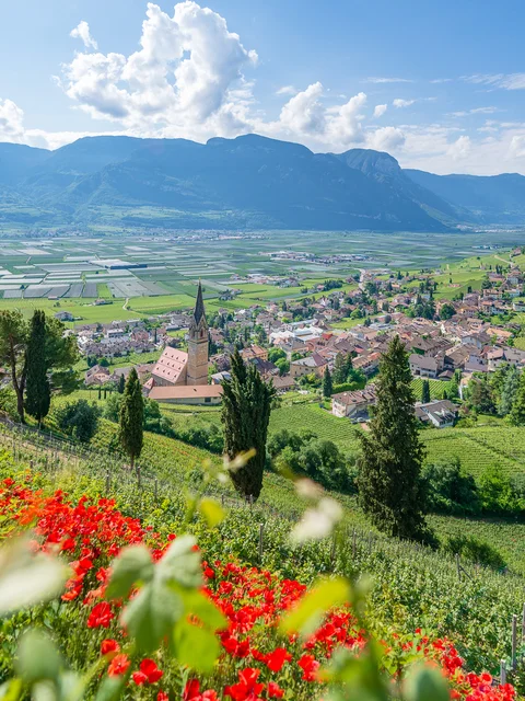 Panoramic view of a village and vineyards with mountains in the background
