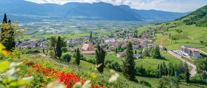 Panoramic view of a village and vineyards with mountains in the background